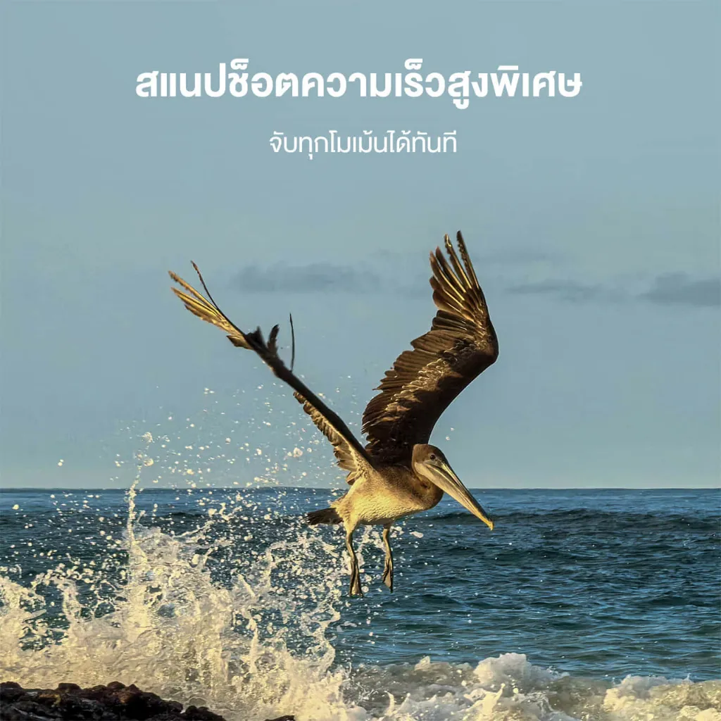 สแนปช็อตความเร็วสูงพิเศษ