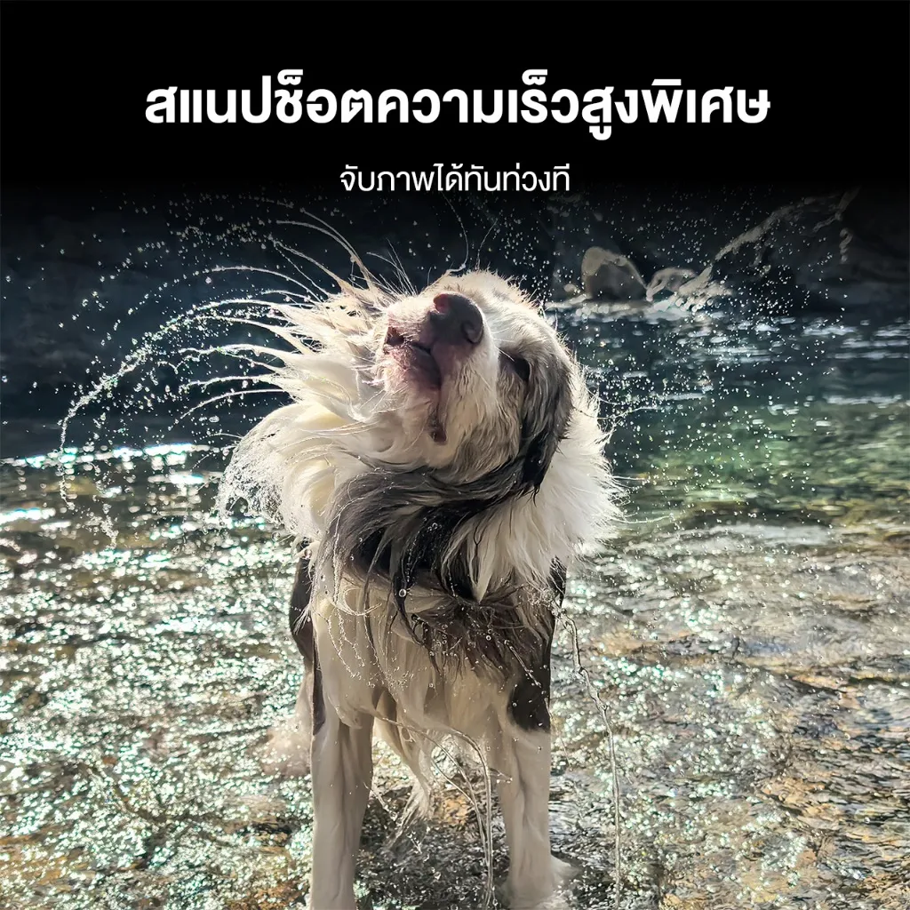 สแนปช็อตความเร็วสูงพิเศษ
