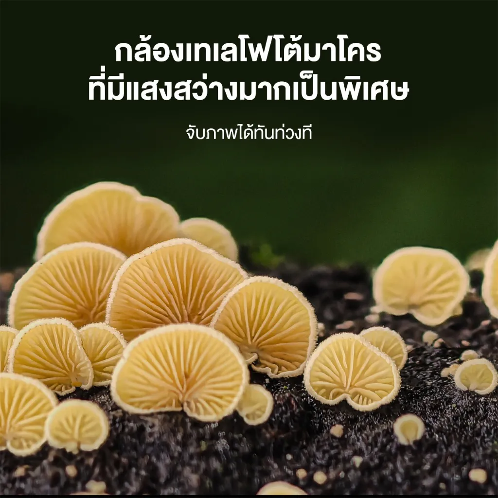 กล้องเทเลโฟโต้มาโคร