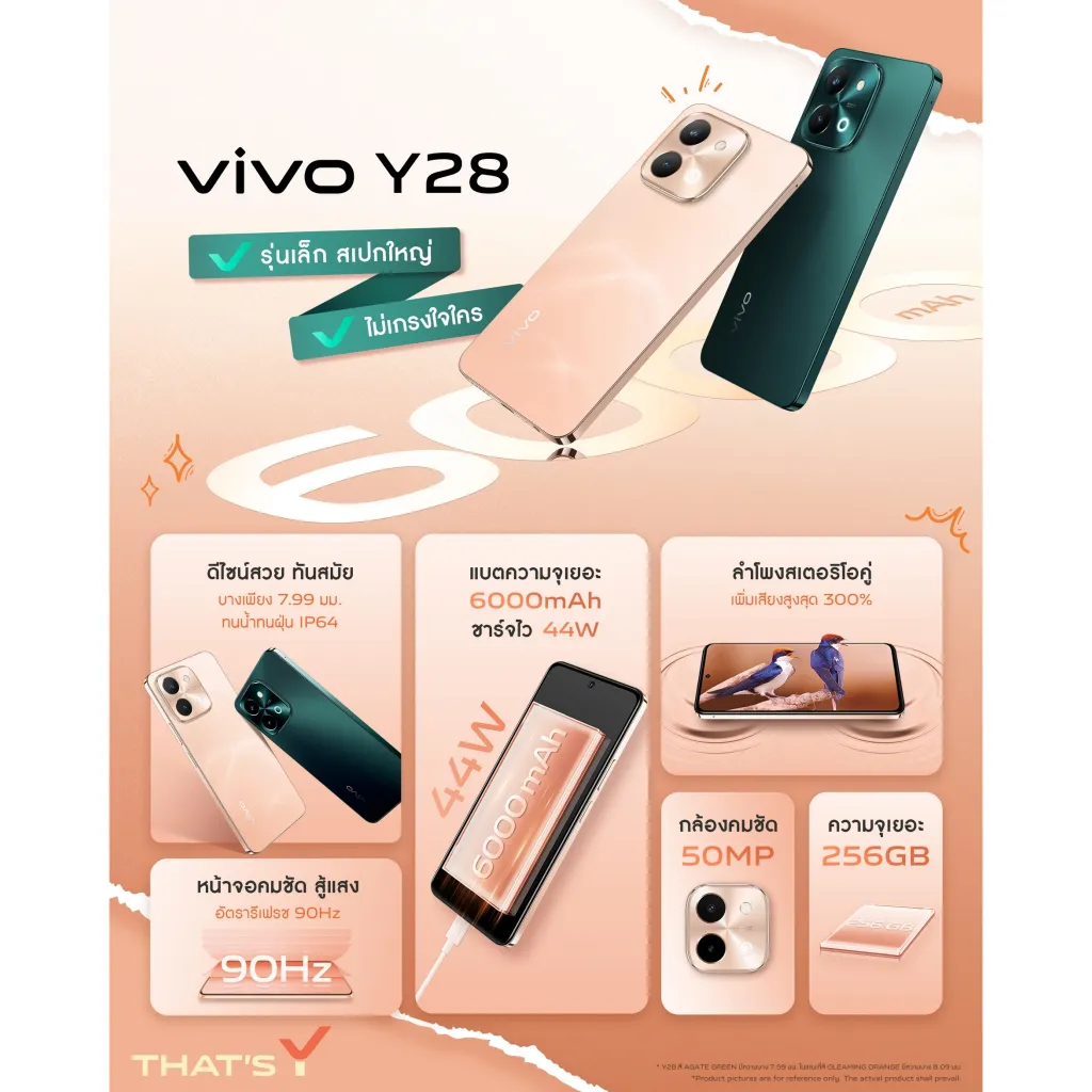 vivo Y28 2 Color