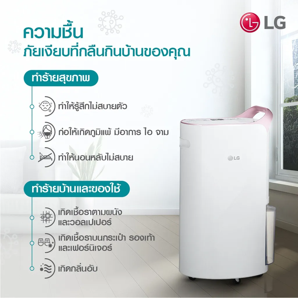 ความชื้น ภัยเงียบที่กลืนกินบ้านของคุณ