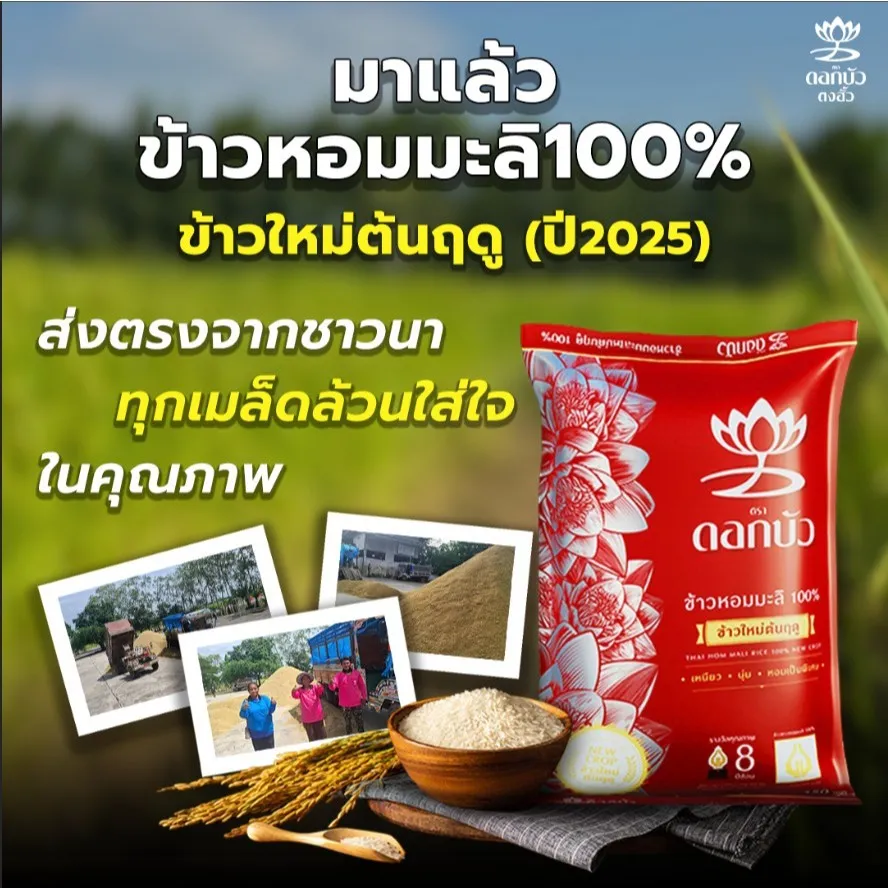 ข้าวตราดอกบัว ข้าวหอมมะลิ ใหม่ต้นฤดู ส่งตรงจากชาวนา