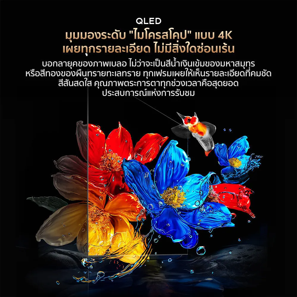มุมมองระดับ ไมโครสโคป แบบ 4K