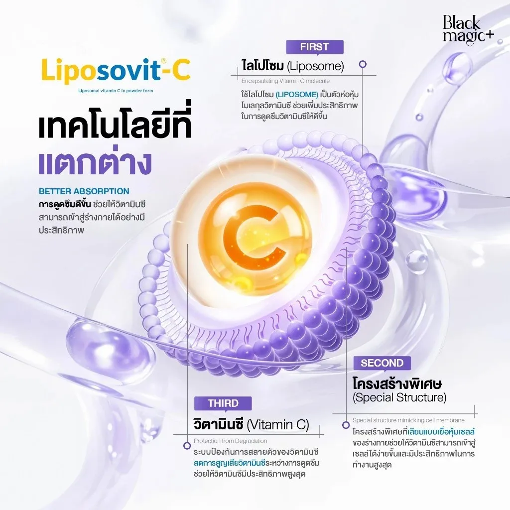 ไลโปโซมล้อมโมเลกุลวิตามินซี แสดงโครงสร้างพิเศษช่วยป้องกันการสลายและเพิ่มการดูดซึม