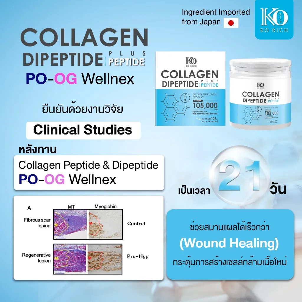 งานวิจัยยืนยัน คอลลาเจน ไดเปปไทด์ KO RICH สูตร PO-OG Wellnex แผลสมานเร็วใน 21 วัน พร้อมภาพสไลด์เนื้อเยื่อ