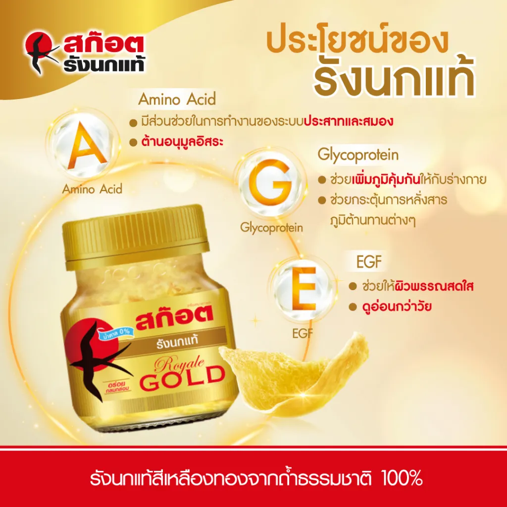 อินโฟกราฟิกอธิบายคุณประโยชน์ของเครื่องดื่มบำรุงสุขภาพจากโปรตีน Amino Acid Glycoprotein และ EGF