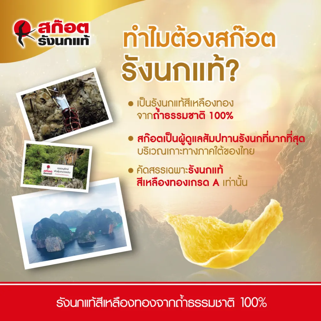 กราฟิกเล่าเรื่องแหล่งวัตถุดิบจากถ้ำธรรมชาติและเกาะทางทะเลใต้พร้อมข้อความอธิบายจุดเด่นของผลิตภัณฑ์