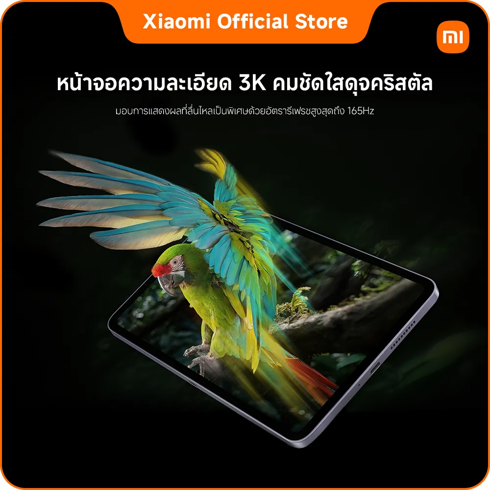 หน้าจอแท็บเล็ตแสดงนกแก้วสีสันสดใส โชว์ความคมชัดระดับ 3K และรีเฟรชเรตสูง