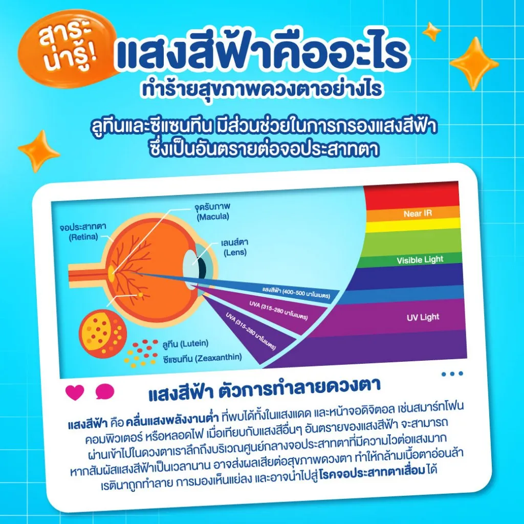 อินโฟกราฟิกอธิบายแสงสีฟ้ากับดวงตา มีแผนภาพลูกตาและแถบสเปกตรัมสี